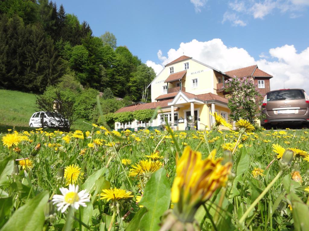 Familiengasthof Maier Hotel Mautern In Steiermark Exterior photo